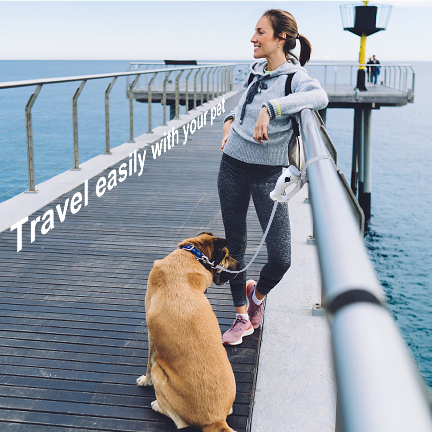 1.8M/6FT Custom Length Hands-Free Elastic Nylon Tape Led Light Poop Bag Dispenser Pet Lead Dog Leash