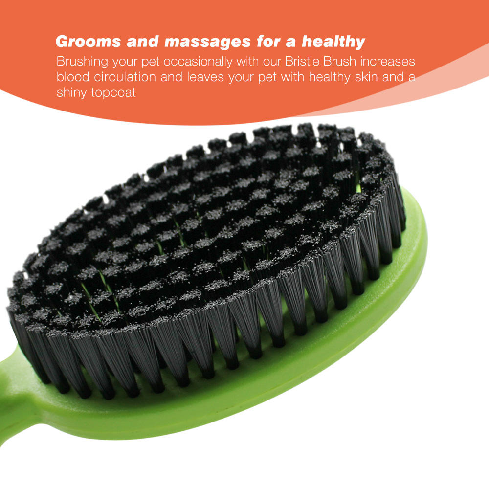 Custom Soft Bristle Pet Short Hair Grooming Brush for Dog and cat